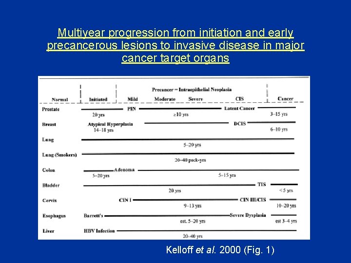 Multiyear progression from initiation and early precancerous lesions to invasive disease in major cancer