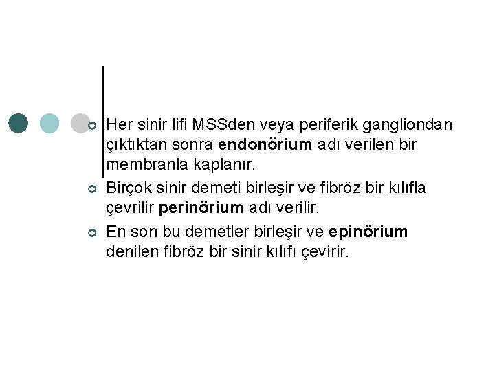 ¢ ¢ ¢ Her sinir lifi MSSden veya periferik gangliondan çıktıktan sonra endonörium adı