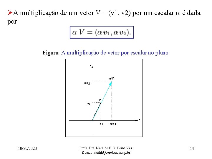 ØA multiplicação de um vetor V = (v 1, v 2) por um escalar