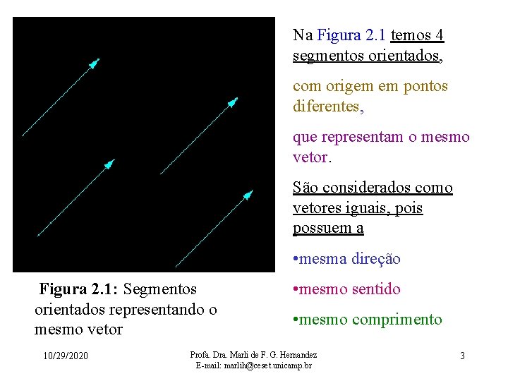Na Figura 2. 1 temos 4 segmentos orientados, com origem em pontos diferentes, que