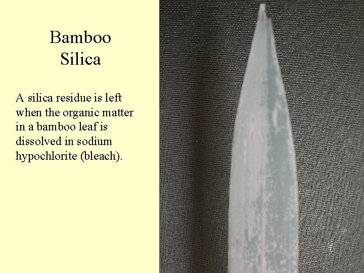 Bamboo Silica A silica residue is left when the organic matter in a bamboo