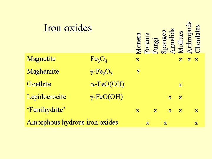 Monera Forams Fungi Sponges Annelids Mollucs Arthropods Chordates Iron oxides Magnetite Fe 3 O