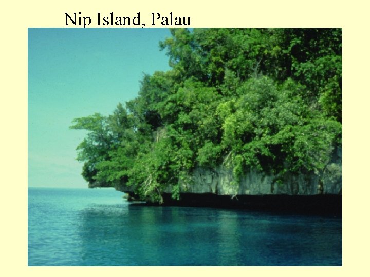 Nip Island, Palau 