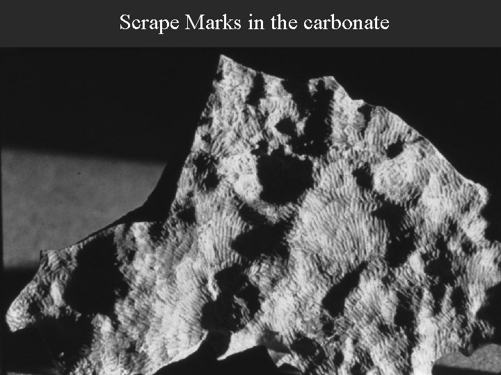 Scrape Marks in the carbonate 