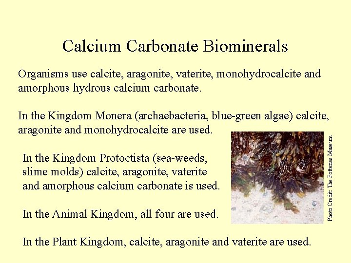 Calcium Carbonate Biominerals Organisms use calcite, aragonite, vaterite, monohydrocalcite and amorphous hydrous calcium carbonate.