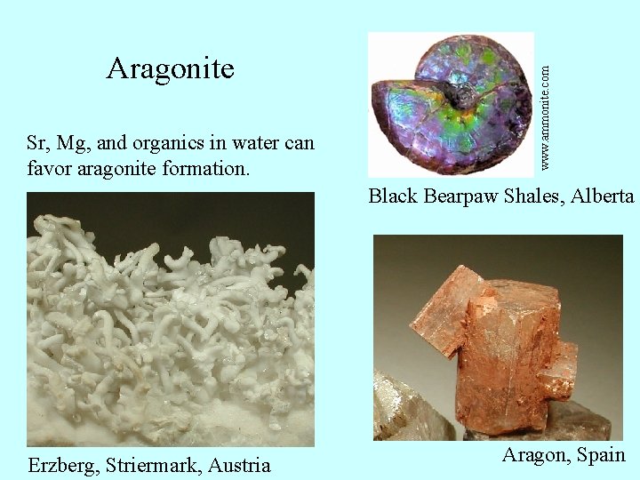 Sr, Mg, and organics in water can favor aragonite formation. www. ammonite. com Aragonite