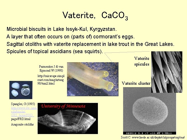 Vaterite, Ca. CO 3 Microbial biscuits in Lake Issyk-Kul, Kyrgyzstan. A layer that often