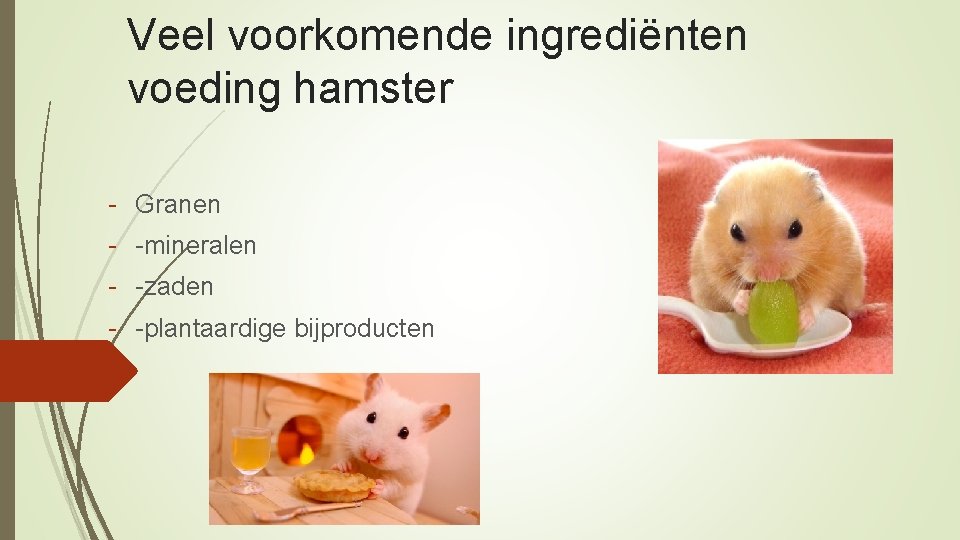 Veel voorkomende ingrediënten voeding hamster - Granen - -mineralen - -zaden - -plantaardige bijproducten