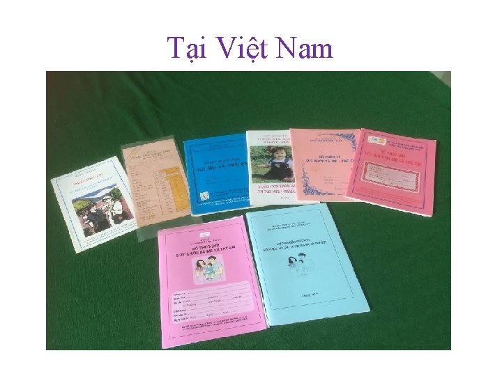 Tại Việt Nam 