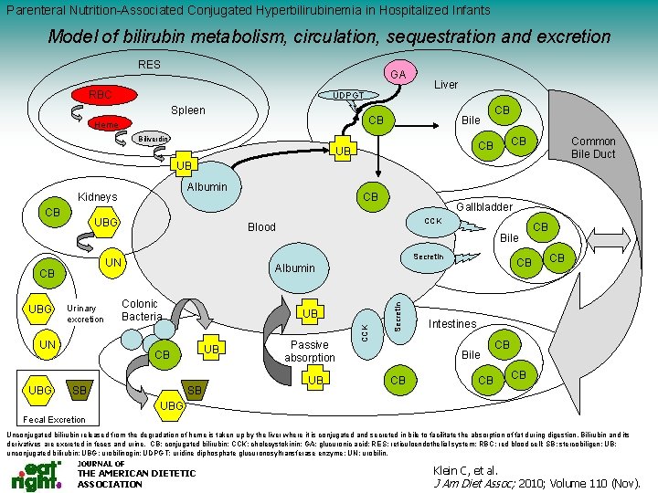 Parenteral Nutrition-Associated Conjugated Hyperbilirubinemia in Hospitalized Infants Model of bilirubin metabolism, circulation, sequestration and