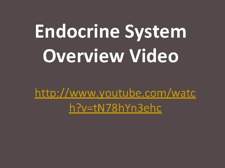 Endocrine System Overview Video http: //www. youtube. com/watc h? v=t. N 78 h. Yn