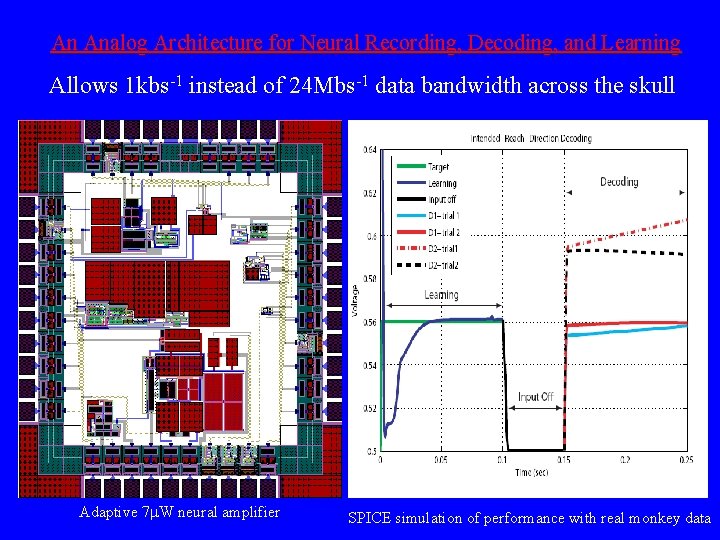 An Analog Architecture for Neural Recording, Decoding, and Learning Allows 1 kbs-1 instead of