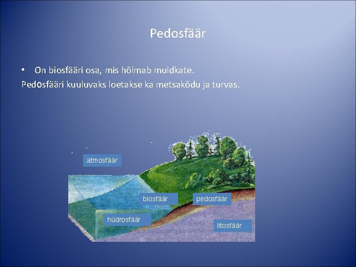 Pedosfäär • On biosfääri osa, mis hõlmab muldkate. Pedosfääri kuuluvaks loetakse ka metsakõdu ja