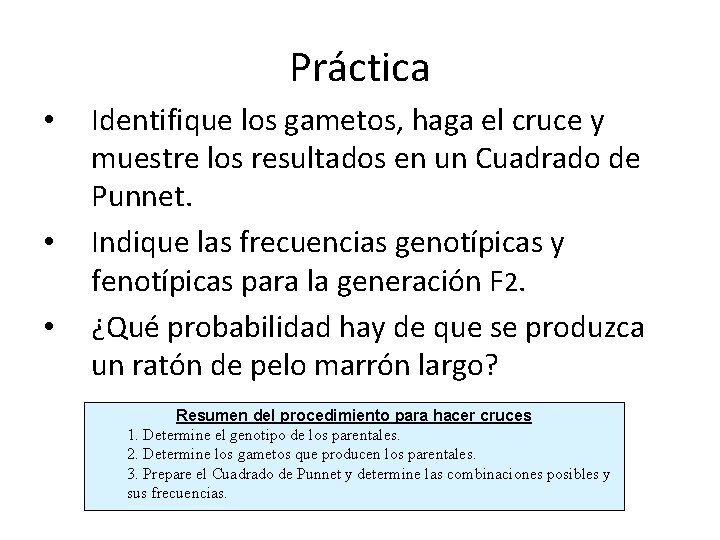 Práctica • • • Identifique los gametos, haga el cruce y muestre los resultados