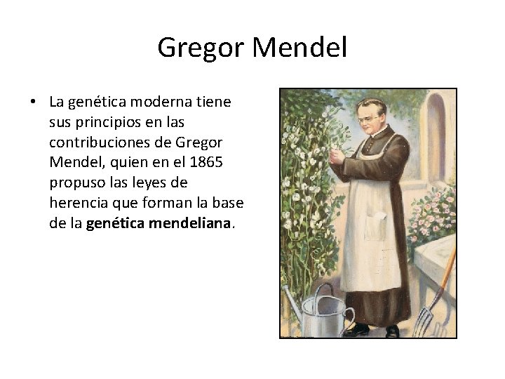 Gregor Mendel • La genética moderna tiene sus principios en las contribuciones de Gregor