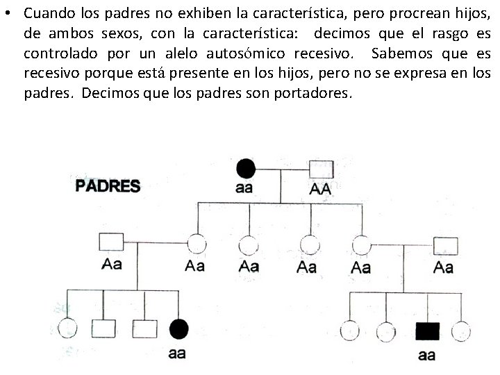  • Cuando los padres no exhiben la característica, pero procrean hijos, de ambos