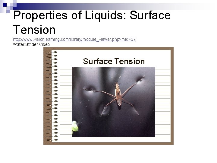 Properties of Liquids: Surface Tension http: //www. visionlearning. com/library/module_viewer. php? mid=57 Water Strider Video