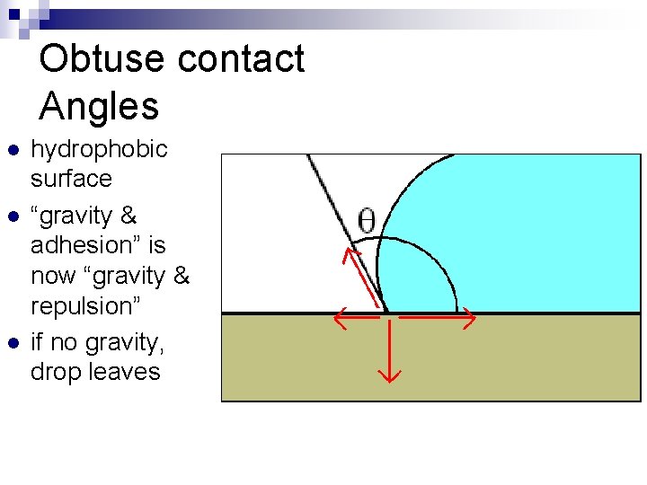 Obtuse contact Angles l l l hydrophobic surface “gravity & adhesion” is now “gravity
