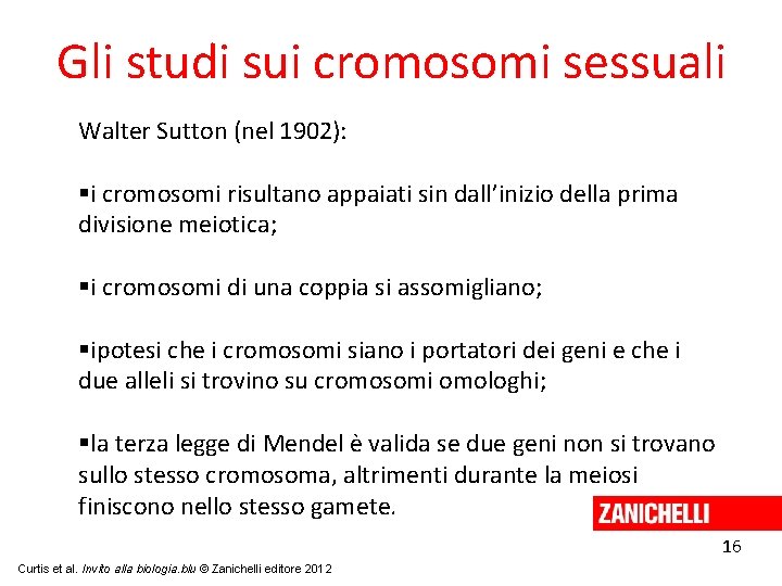 Gli studi sui cromosomi sessuali Walter Sutton (nel 1902): i cromosomi risultano appaiati sin