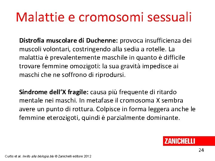 Malattie e cromosomi sessuali Distrofia muscolare di Duchenne: provoca insufficienza dei muscoli volontari, costringendo