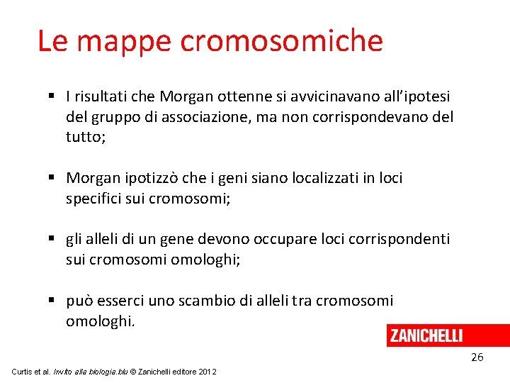 Le mappe cromosomiche I risultati che Morgan ottenne si avvicinavano all’ipotesi del gruppo di