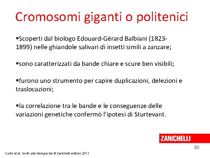 Cromosomi giganti o politenici Scoperti dal biologo Edouard-Gérard Balbiani (18231899) nelle ghiandole salivari di