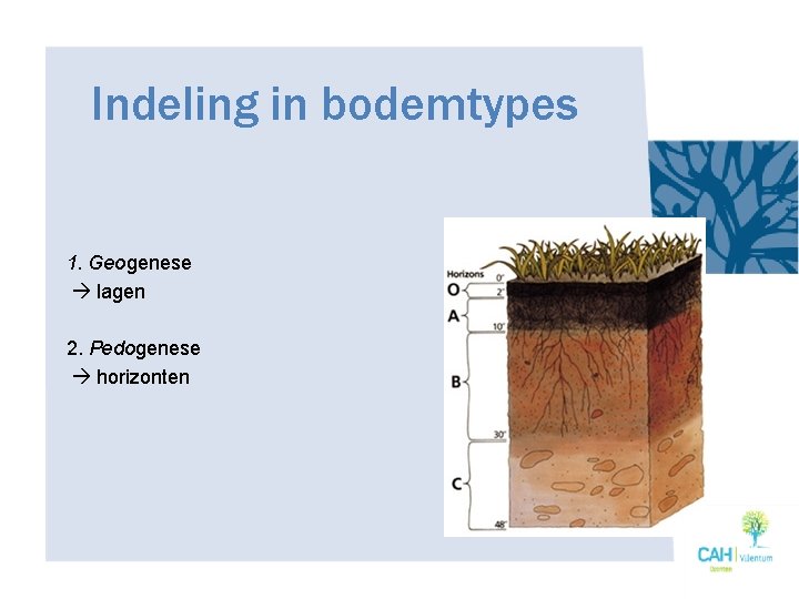 Indeling in bodemtypes 1. Geogenese lagen 2. Pedogenese horizonten 