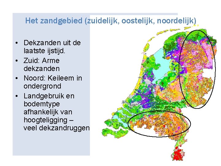 Het zandgebied (zuidelijk, oostelijk, noordelijk) • Dekzanden uit de laatste ijstijd. • Zuid: Arme