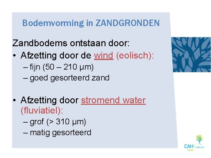 Bodemvorming in ZANDGRONDEN Zandbodems ontstaan door: • Afzetting door de wind (eolisch): – fijn