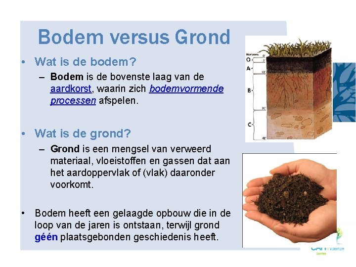 Bodem versus Grond • Wat is de bodem? – Bodem is de bovenste laag