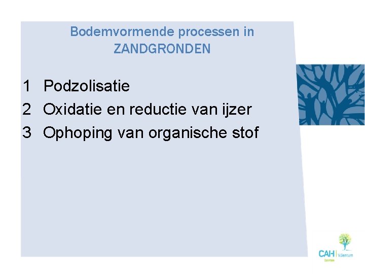 Bodemvormende processen in ZANDGRONDEN 1 Podzolisatie 2 Oxidatie en reductie van ijzer 3 Ophoping