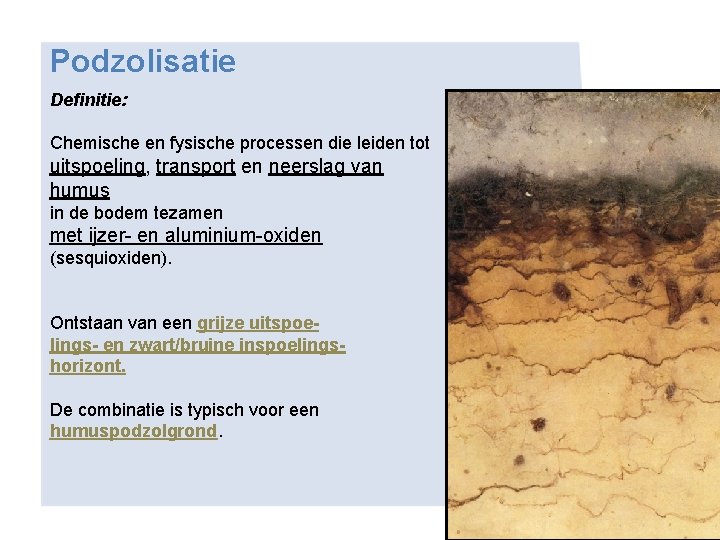 Podzolisatie Definitie: Chemische en fysische processen die leiden tot uitspoeling, transport en neerslag van