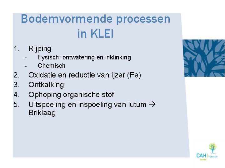 Bodemvormende processen in KLEI 1. Rijping - 2. 3. 4. 5. Fysisch: ontwatering en