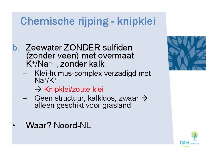 Chemische rijping - knipklei b. Zeewater ZONDER sulfiden (zonder veen) met overmaat K+/Na+, ,