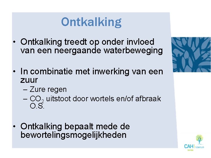 Ontkalking • Ontkalking treedt op onder invloed van een neergaande waterbeweging • In combinatie