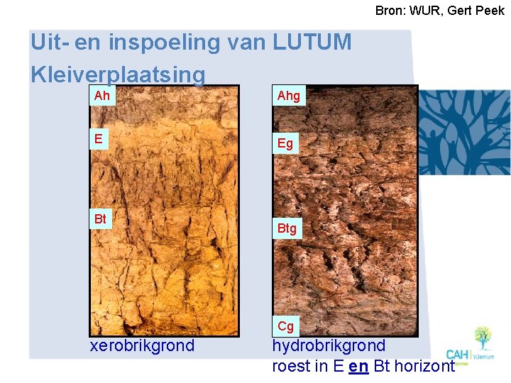 Bron: WUR, Gert Peek Uit- en inspoeling van LUTUM Kleiverplaatsing Ah Ahg E Eg