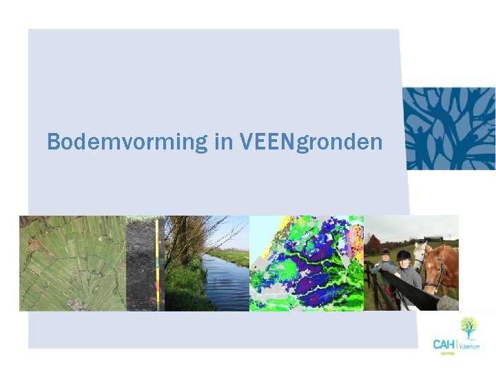 Bodemvorming in VEENgronden 