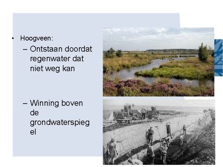  • Hoogveen: – Ontstaan doordat regenwater dat niet weg kan – Winning boven