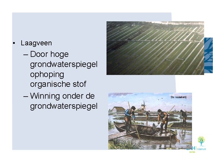  • Laagveen – Door hoge grondwaterspiegel ophoping organische stof – Winning onder de