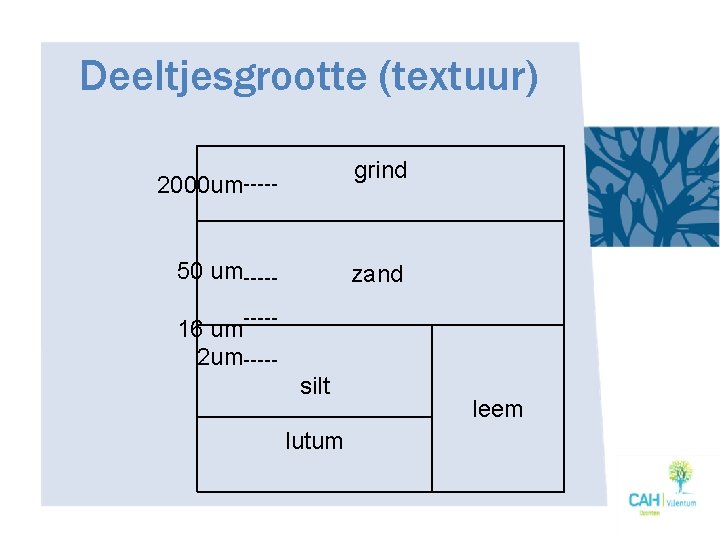 Deeltjesgrootte (textuur) 2000 um grind 50 um zand 16 um 2 um silt lutum