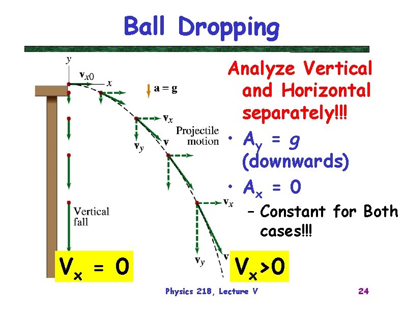 Ball Dropping Analyze Vertical and Horizontal separately!!! • Ay = g (downwards) • Ax