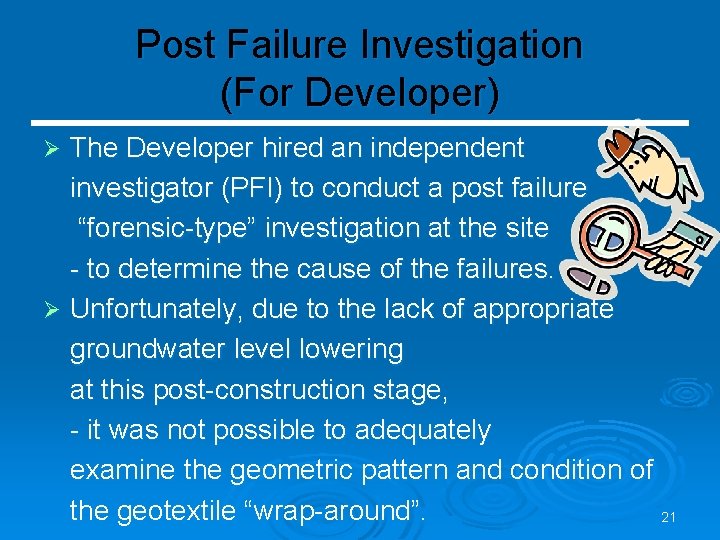 Post Failure Investigation (For Developer) The Developer hired an independent investigator (PFI) to conduct