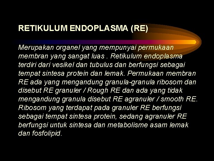 RETIKULUM ENDOPLASMA (RE) Merupakan organel yang mempunyai permukaan membran yang sangat luas. Retikulum endoplasma