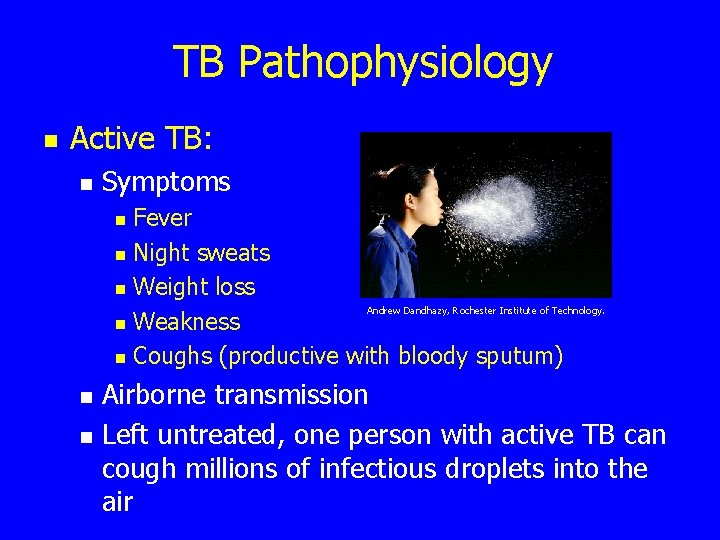 TB Pathophysiology n Active TB: n Symptoms Fever n Night sweats n Weight loss