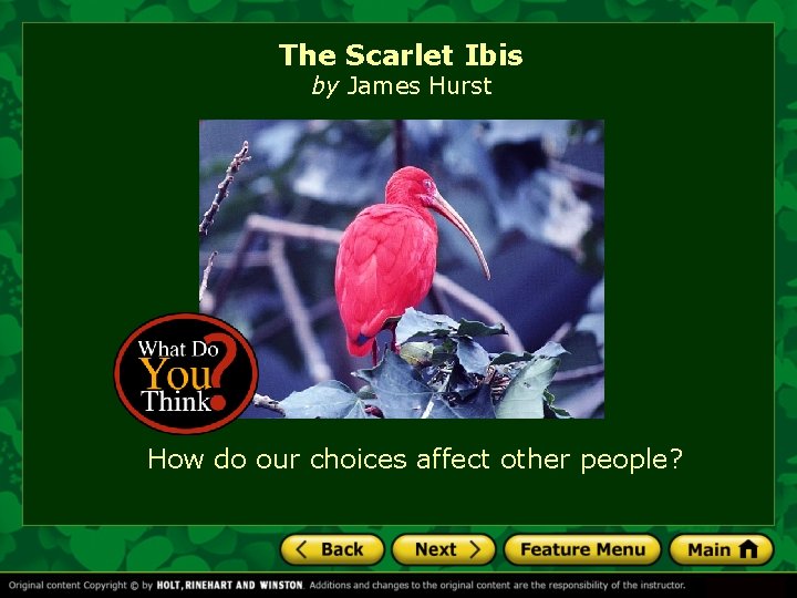The Scarlet Ibis by James Hurst How do our choices affect other people? 