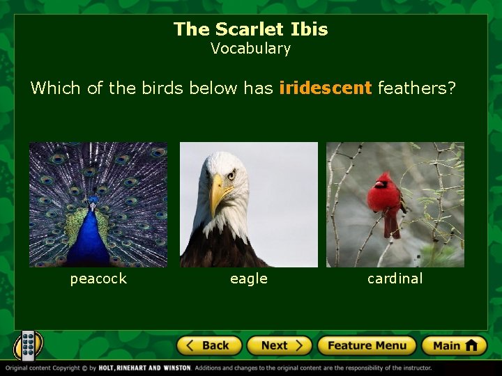 The Scarlet Ibis Vocabulary Which of the birds below has iridescent feathers? peacock eagle