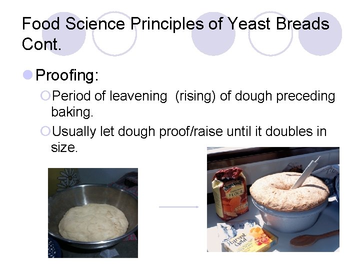 Yeast Bread What are three classes of yeast