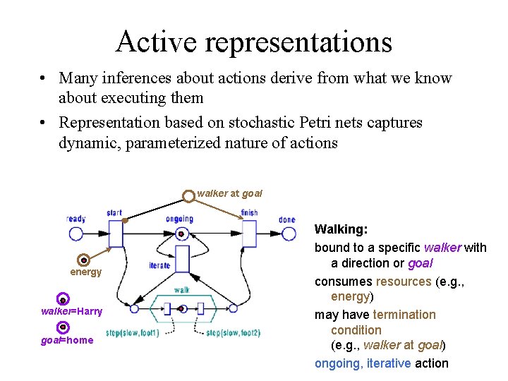 Active representations • Many inferences about actions derive from what we know about executing