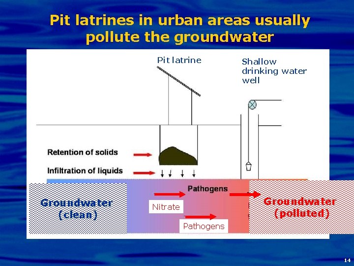 Pit latrines in urban areas usually pollute the groundwater Pit latrine Groundwater (clean) Shallow