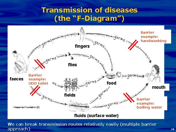 Transmission of diseases (the “F-Diagram”) Barrier example: handwashing fingers flies faeces Barrier example: UDD